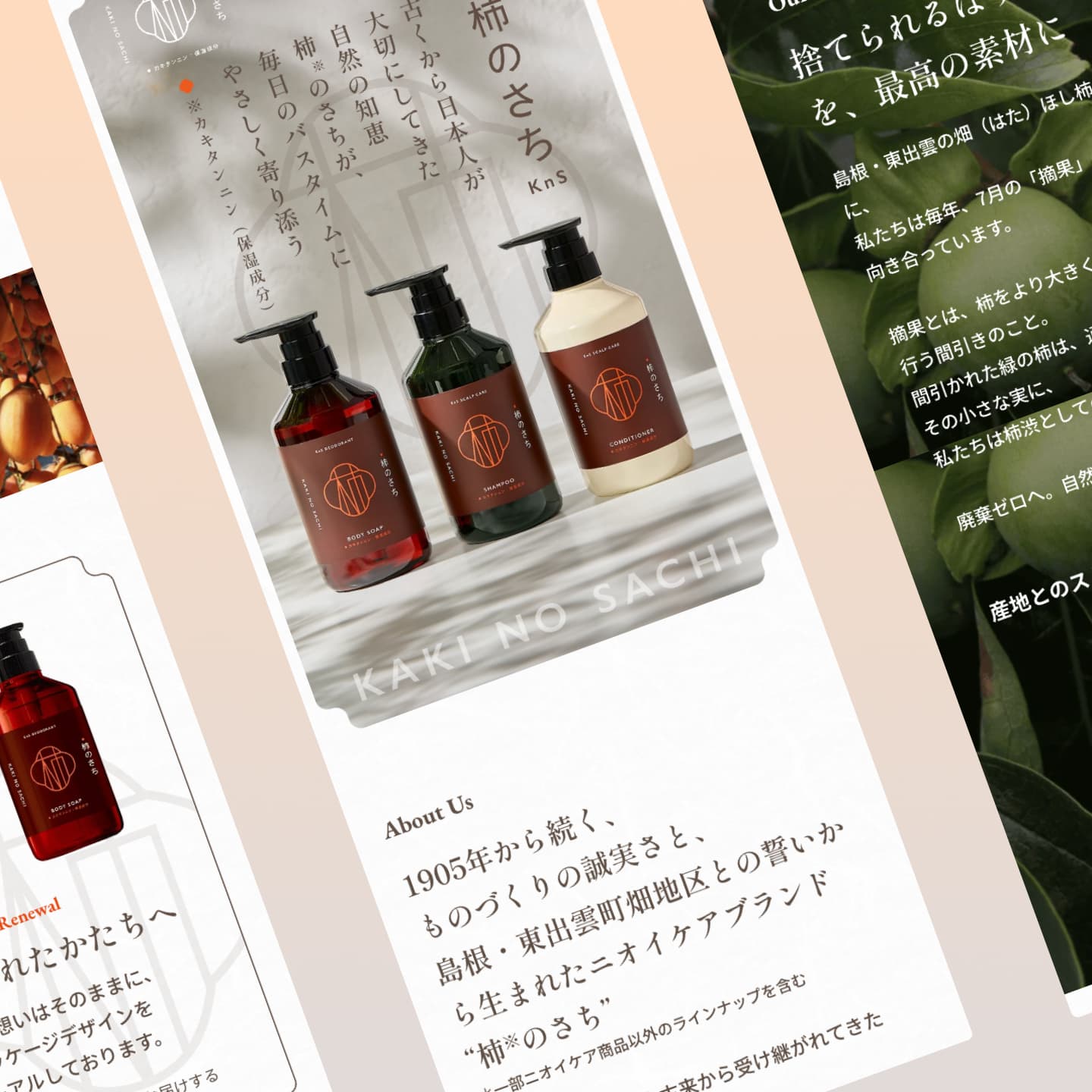 株式会社マックス「柿のさちkns」ブランドサイトリニューアル